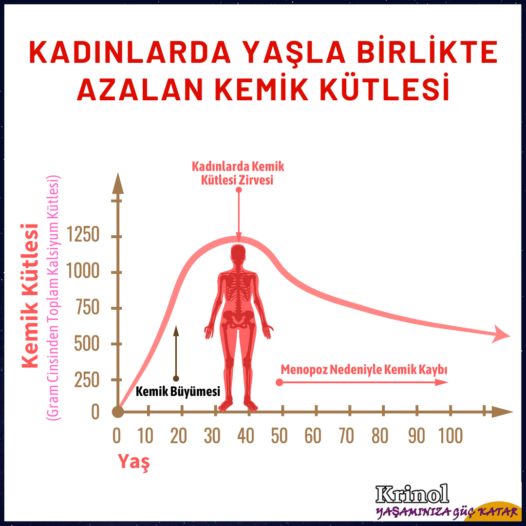 Kadınlarda Yaşla Birlikte Azalan Kemik Kütlesi