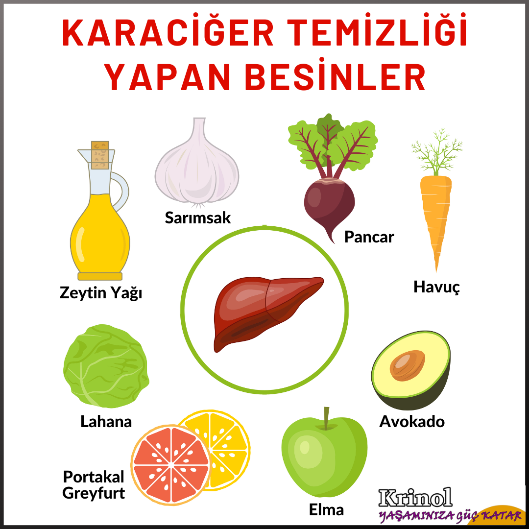 Karaciğer Temizliği Yapan Besinler Nelerdir?