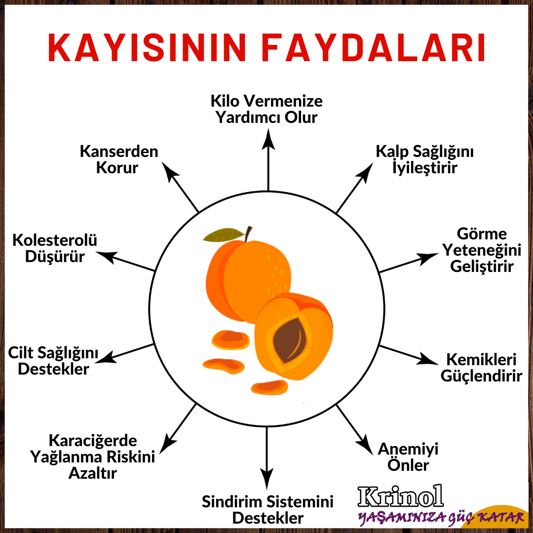 Kayısının Faydaları Nelerdir?