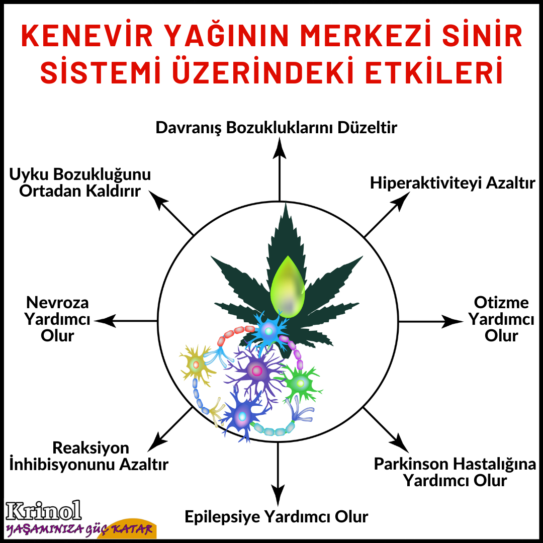 Kenevir Yağının Merkezi Sinir Sistemi Üzerindeki Etkileri Nelerdir?