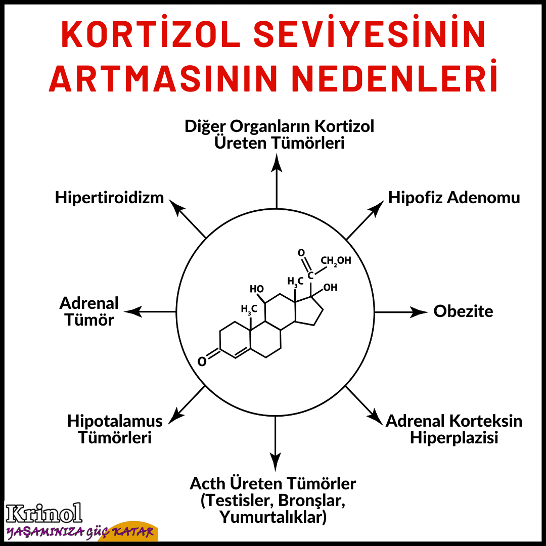 Kortizol Seviyesinin Artmasının Nedenleri Nelerdir?