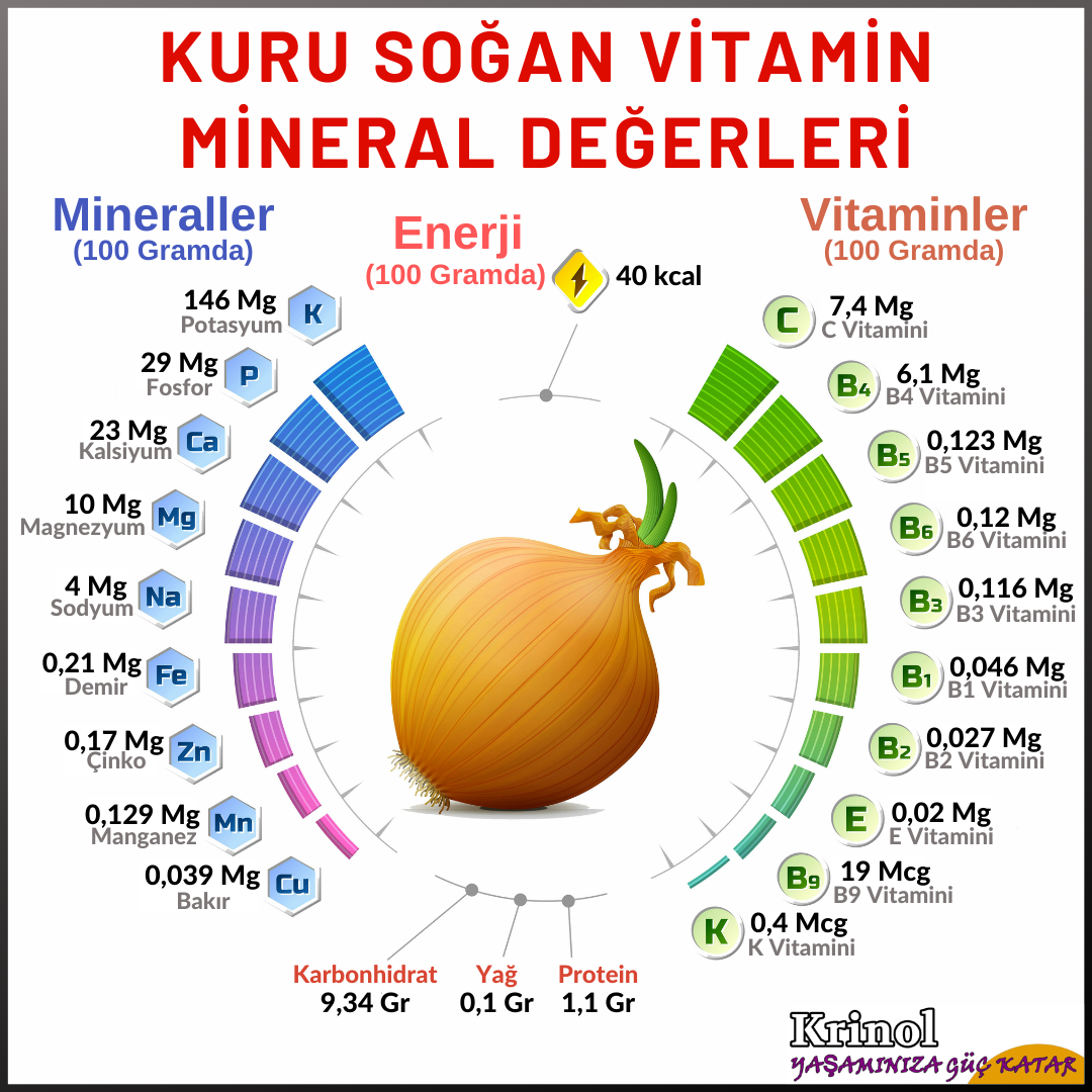 Kuru Soğan Vitamin Mineral Değerleri Nelerdir?