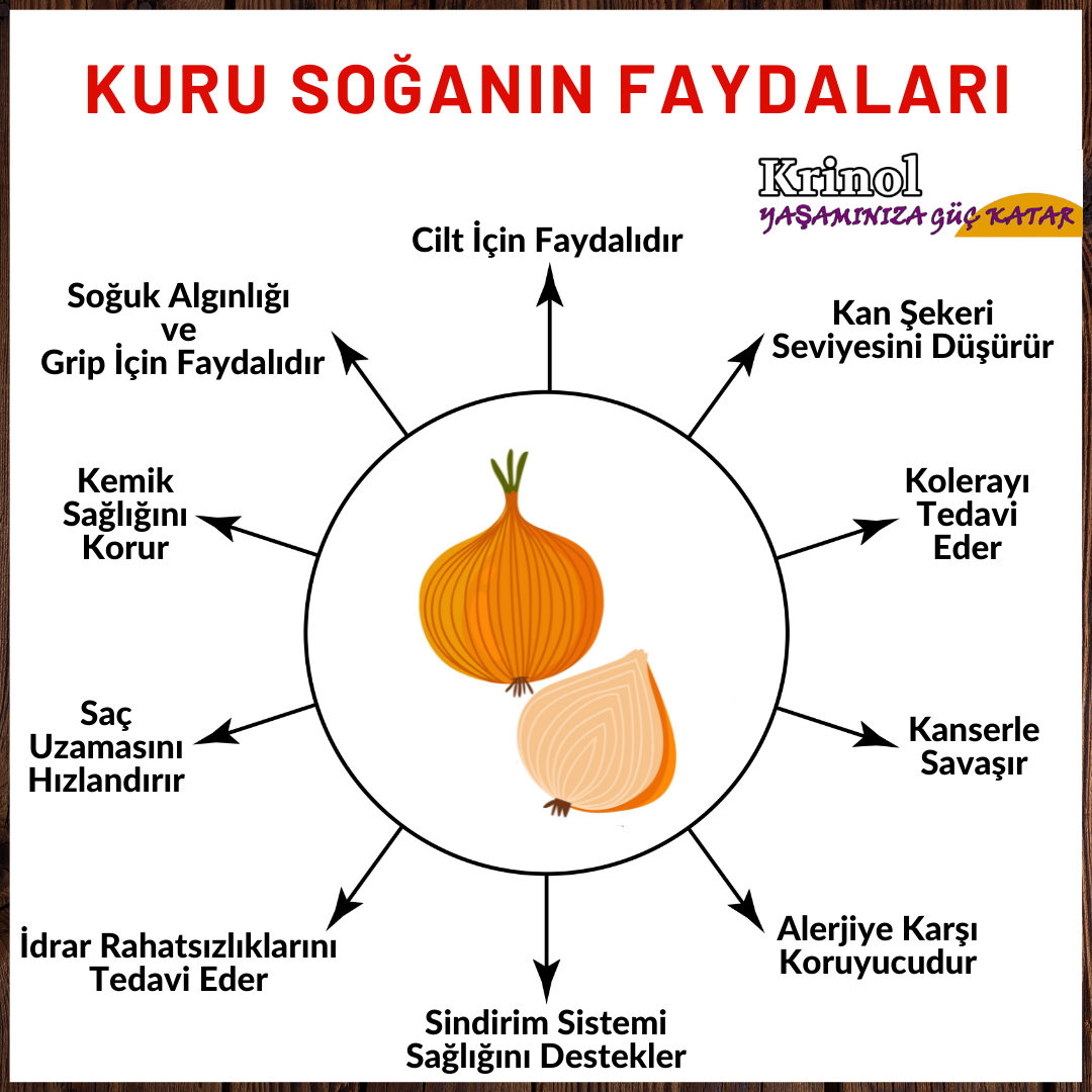 Kuru Soğanın Faydaları Nelerdir?