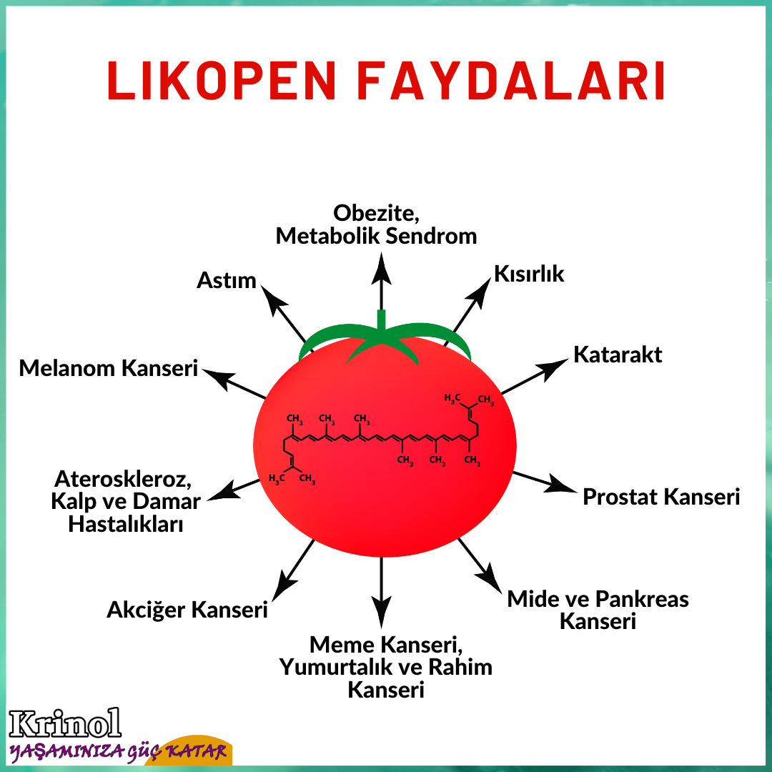 Likopen Faydaları Nelerdir?