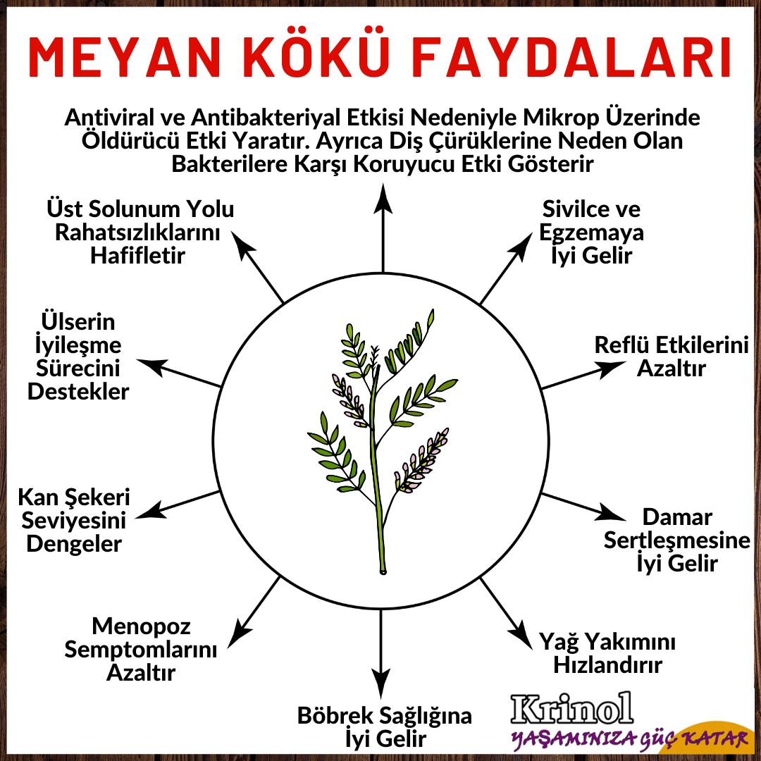 Meyan Kökü Faydaları Nelerdir?