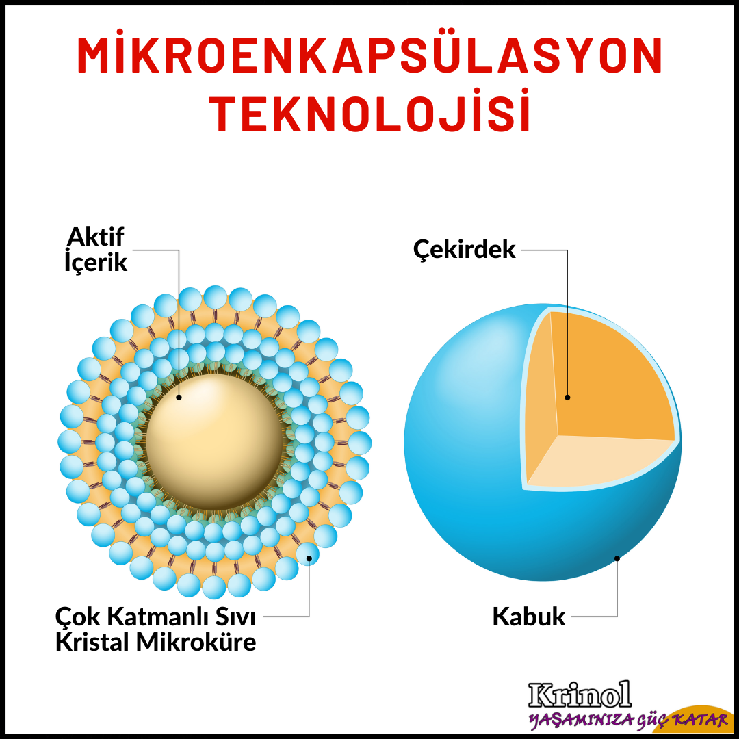 Mikroenkapsülasyon Teknolojisi Nedir?