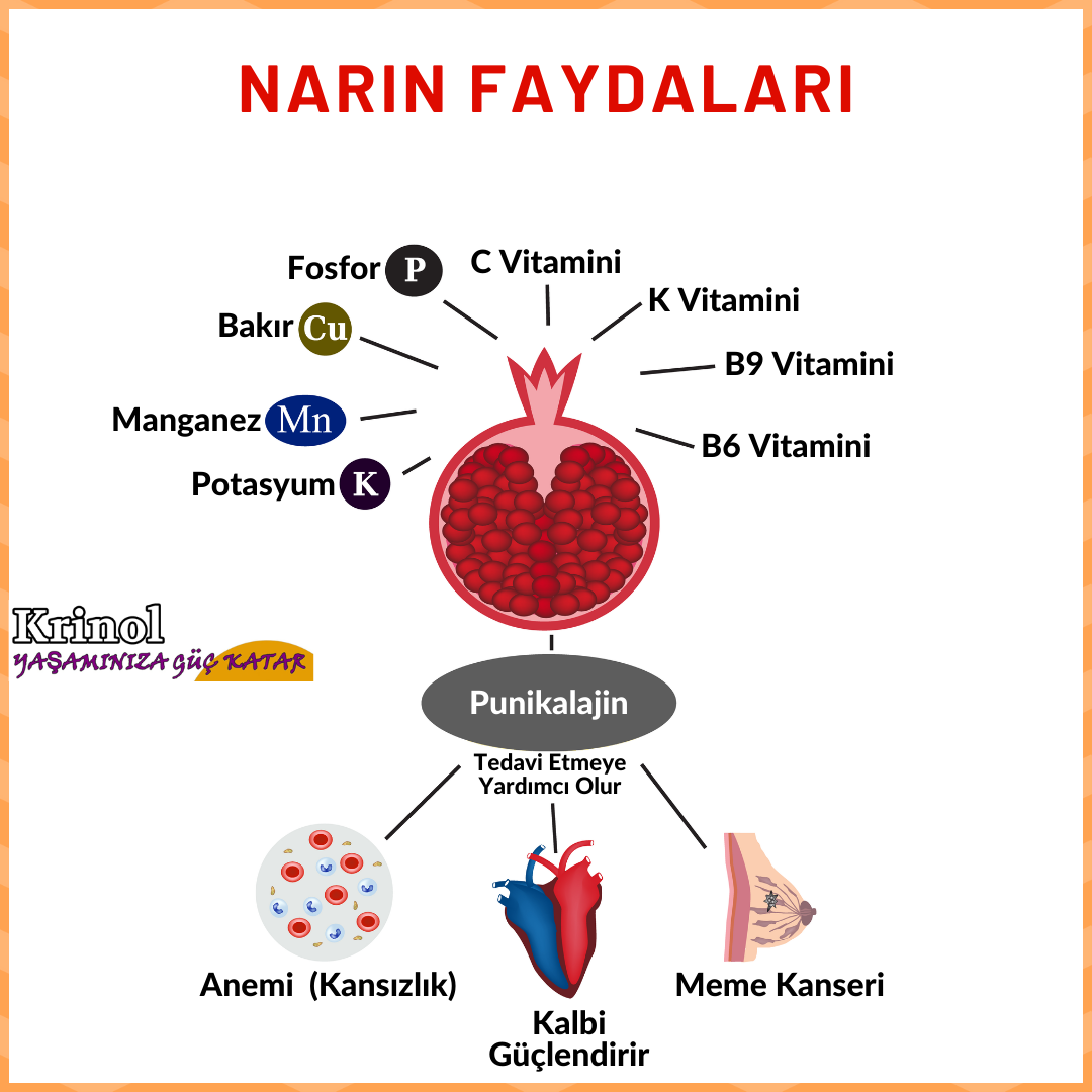 Narın Faydaları Nelerdir?
