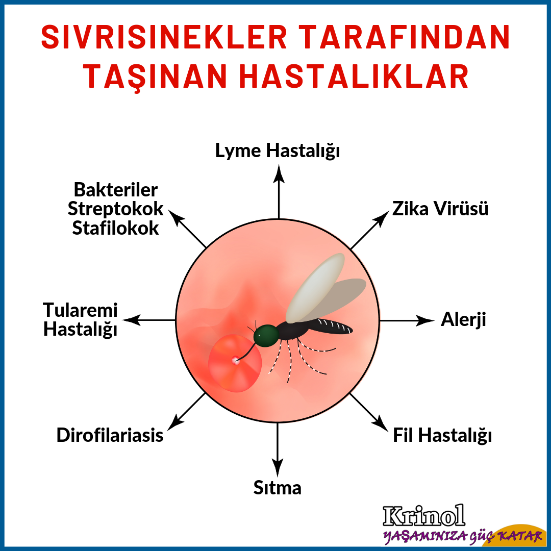 Sivrisinekler Tarafından Taşınan Hastalıklar Nelerdir?