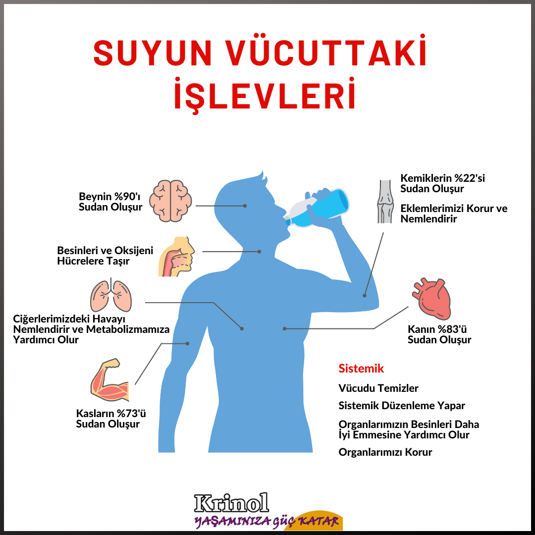 Suyun Vücuttaki İşlevleri Nelerdir?
