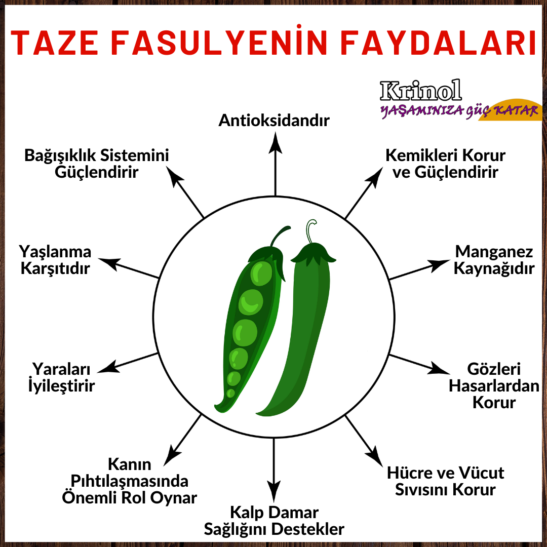 Taze Fasulyenin Faydaları Nelerdir?