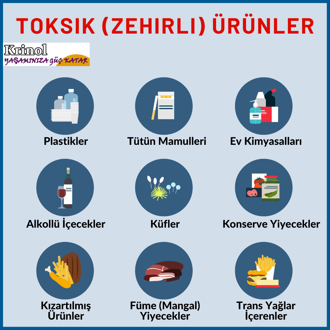 Toksik Besin ve Eşyalar Nelerdir?