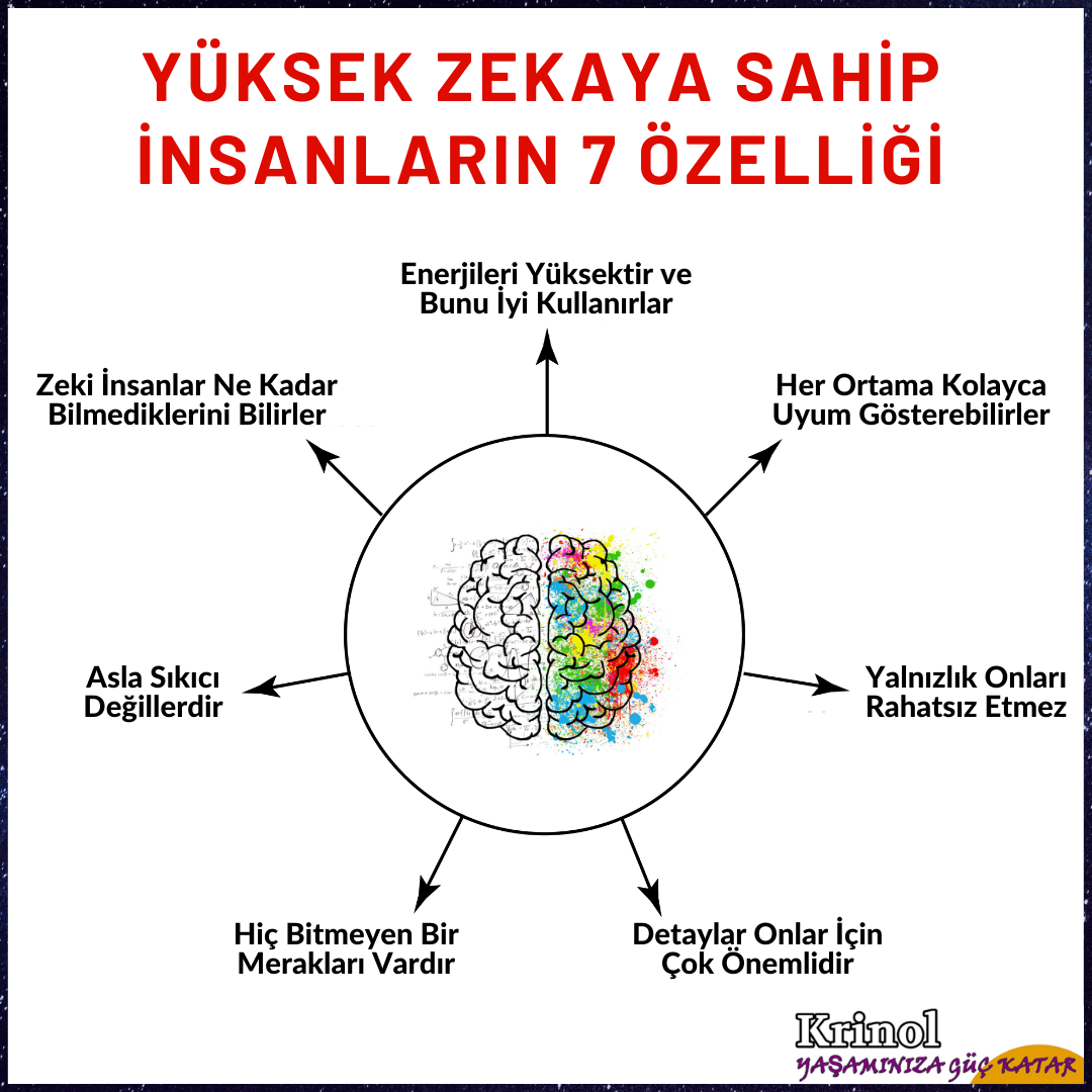 Yüksek Zekâya Sahip İnsanların 7 Özelliği Nelerdir?