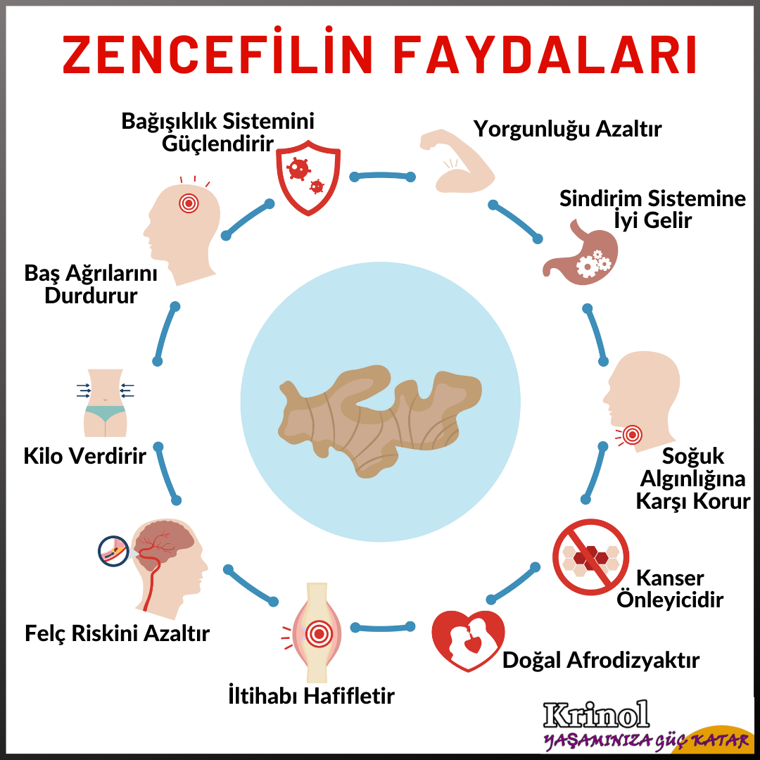 Zencefilin Faydaları Nelerdir?
