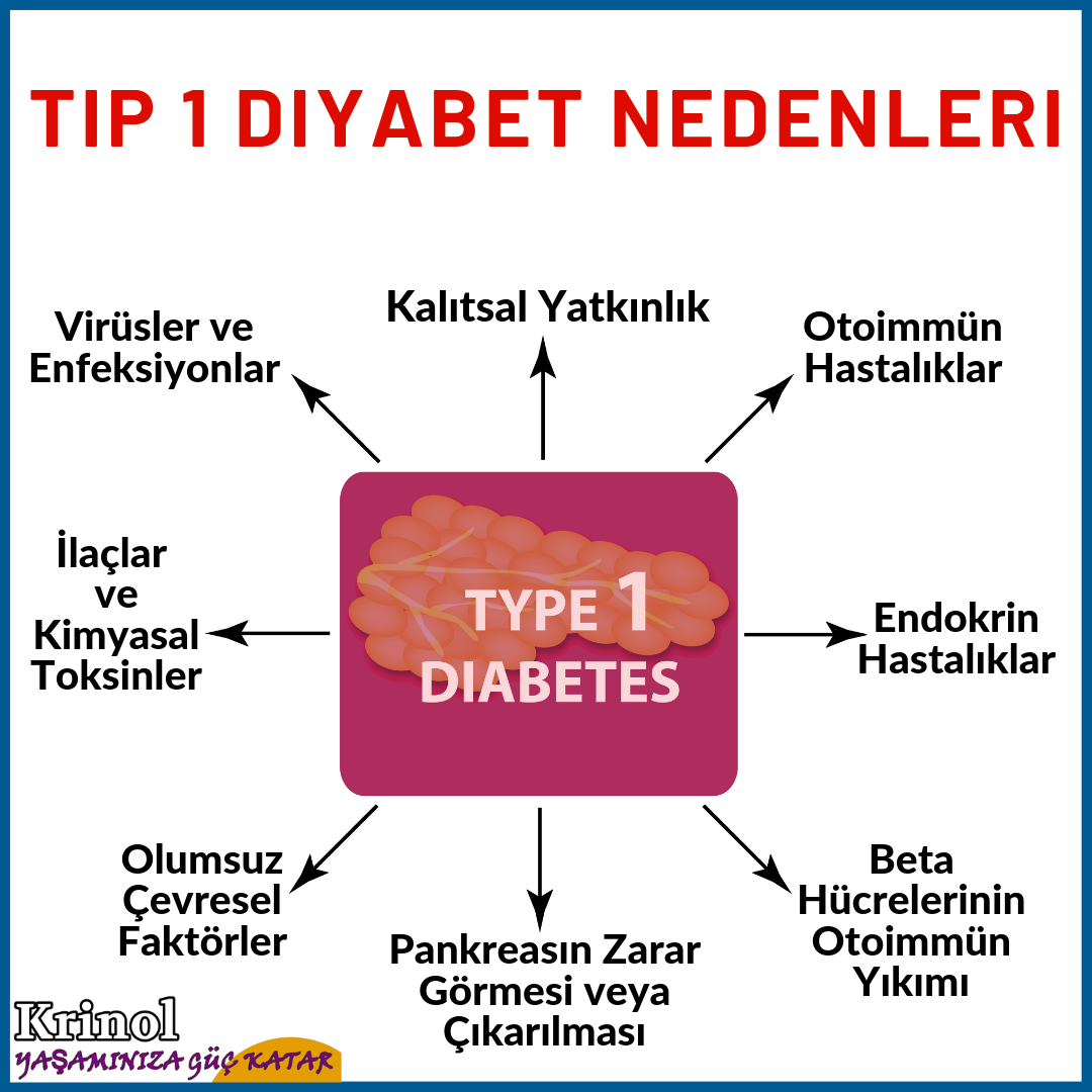 Tip 1 Diyabet Nedenleri Nelerdir?