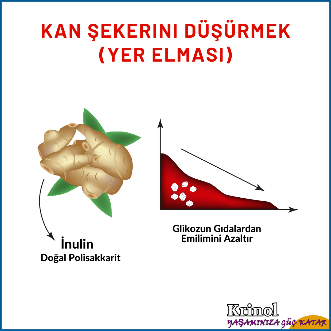 Kan Şekerini Düşürmek (Yer Elması)