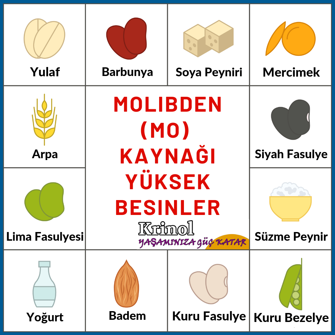 Molibden (MO) Kaynağı Yüksek Besinler Nelerdir?