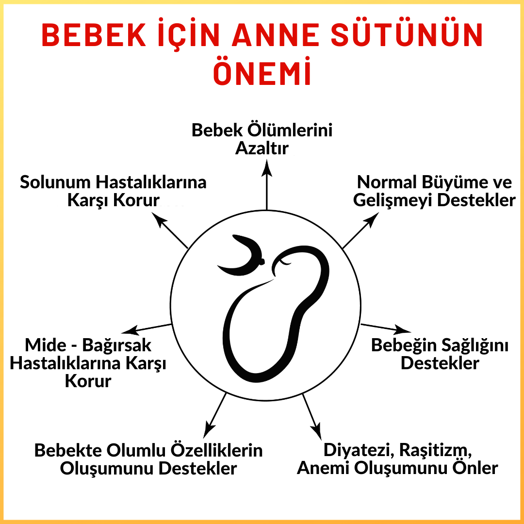 Bebek İçin Anne Sütünün Önemi Nedir?