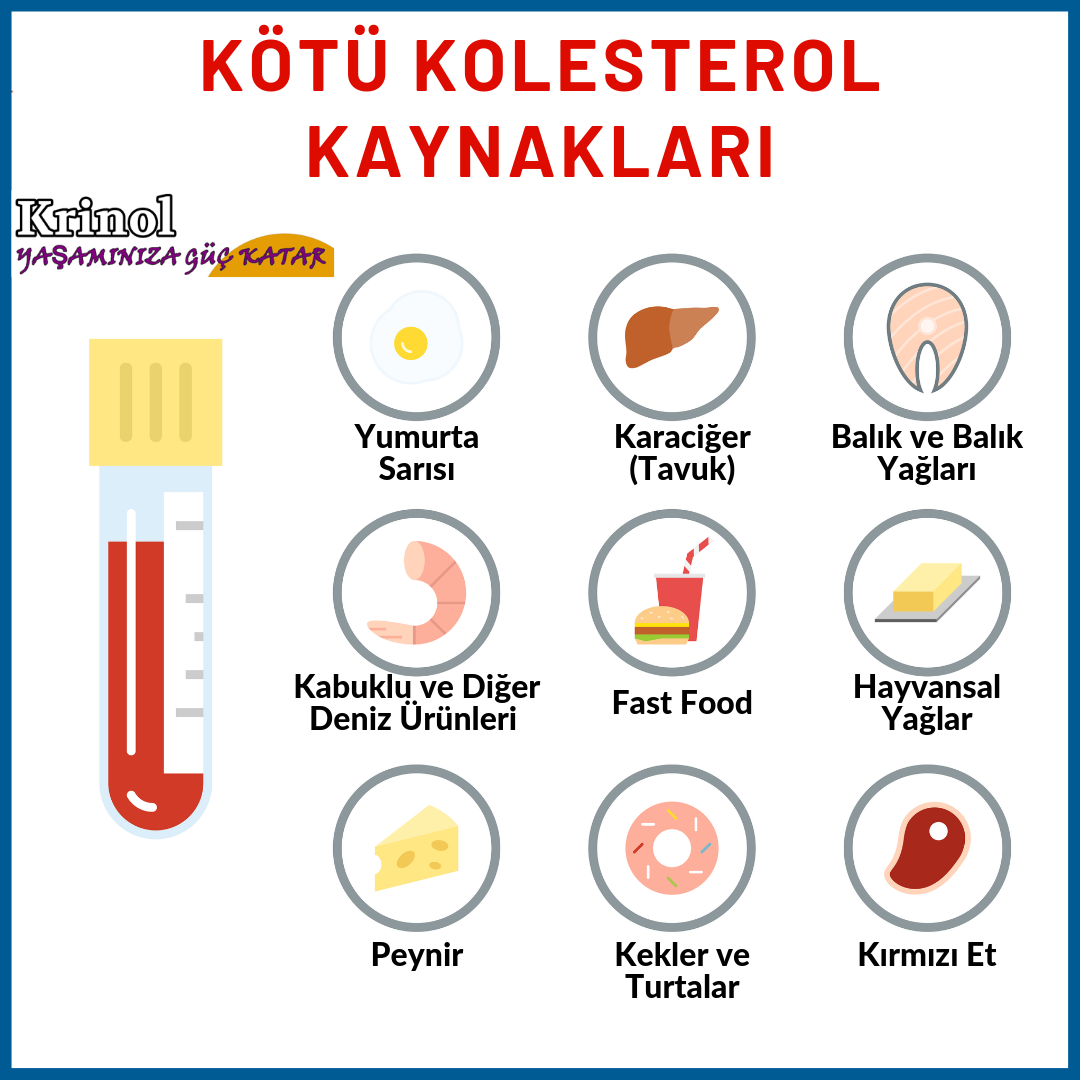 Kötü Kolesterol Kaynakları Nelerdir?