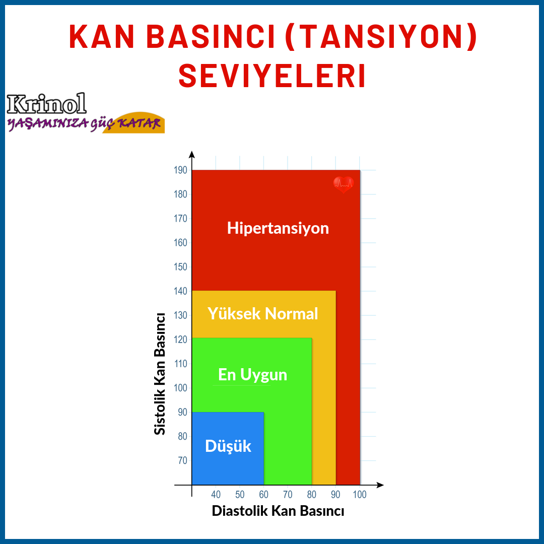 Kan Basıncı (Tansiyon) Seviyeleri Nelerdir?