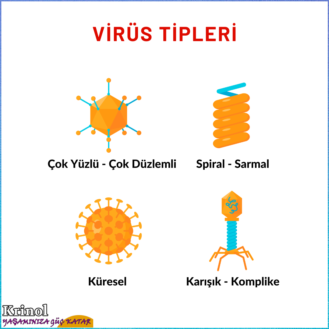 Virüs Tipleri Nelerdir?