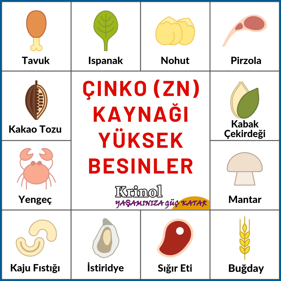 Çinko Kaynağı Yüksek Besinler Nelerdir?