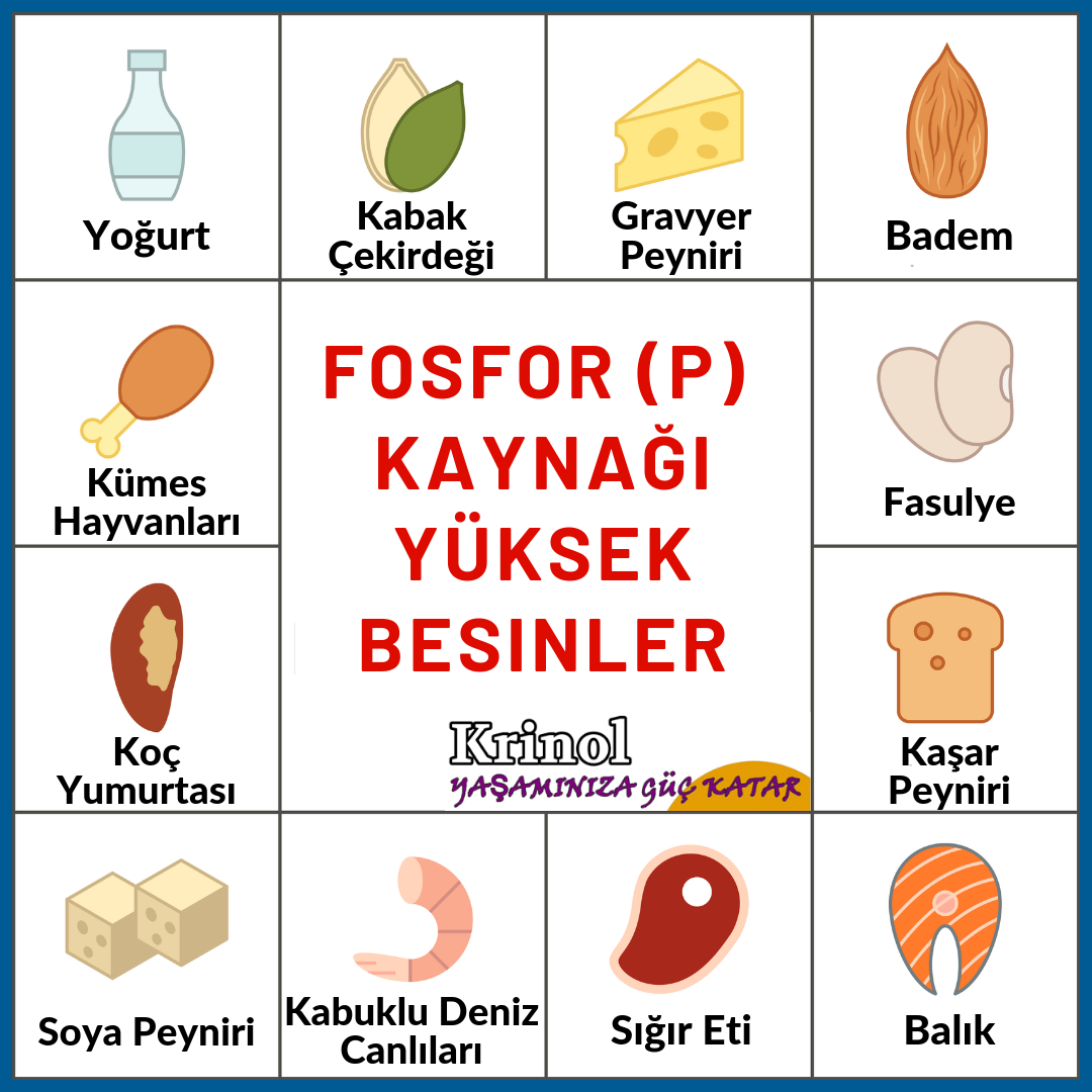 Fosfor (P) Kaynağı Yüksek Besinler Nelerdir?