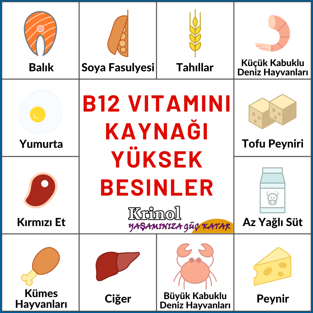 B12 Vitamini Kaynağı Yüksek Besinler Nelerdir?