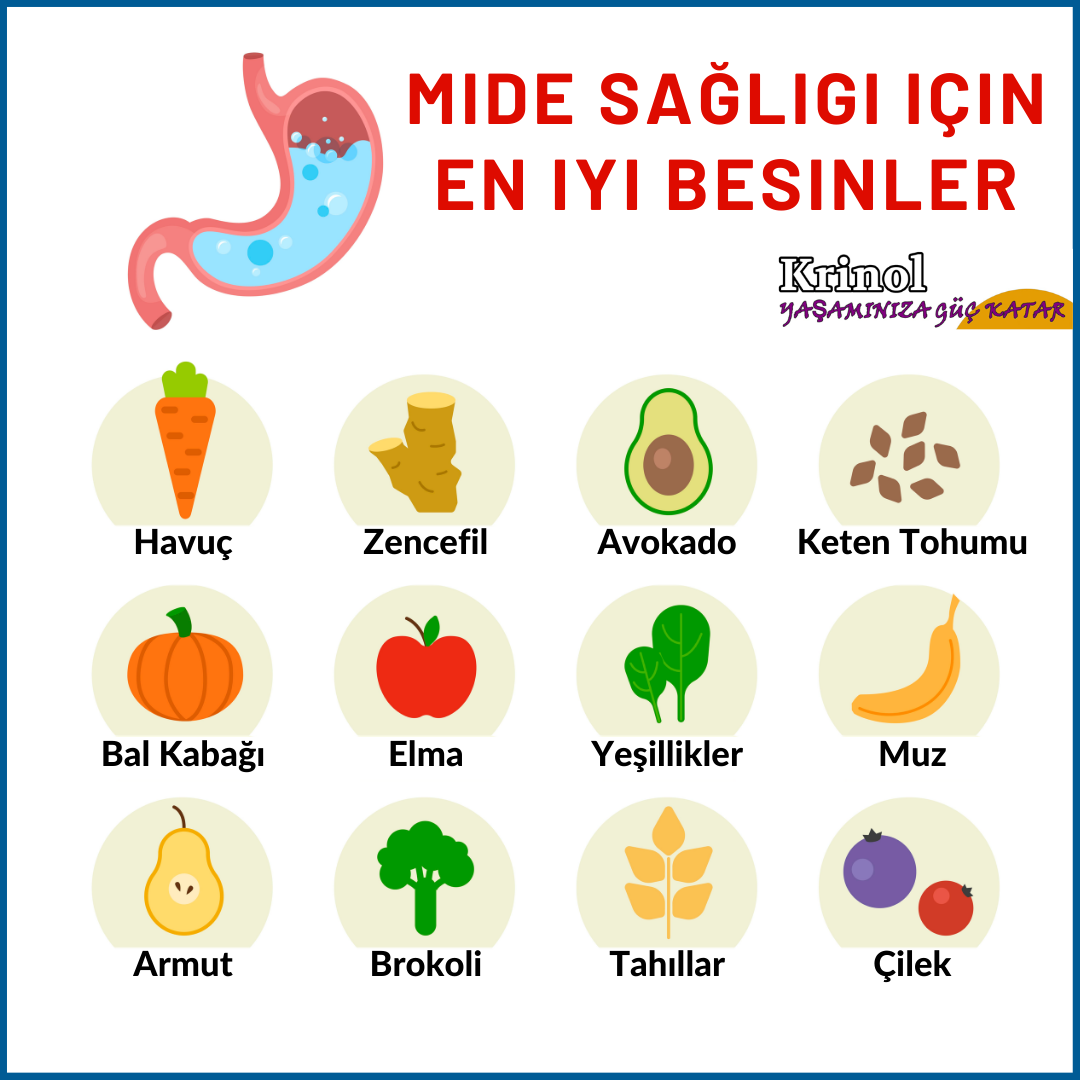 Mide Sağlığı İçin En İyi Besinler Nelerdir?