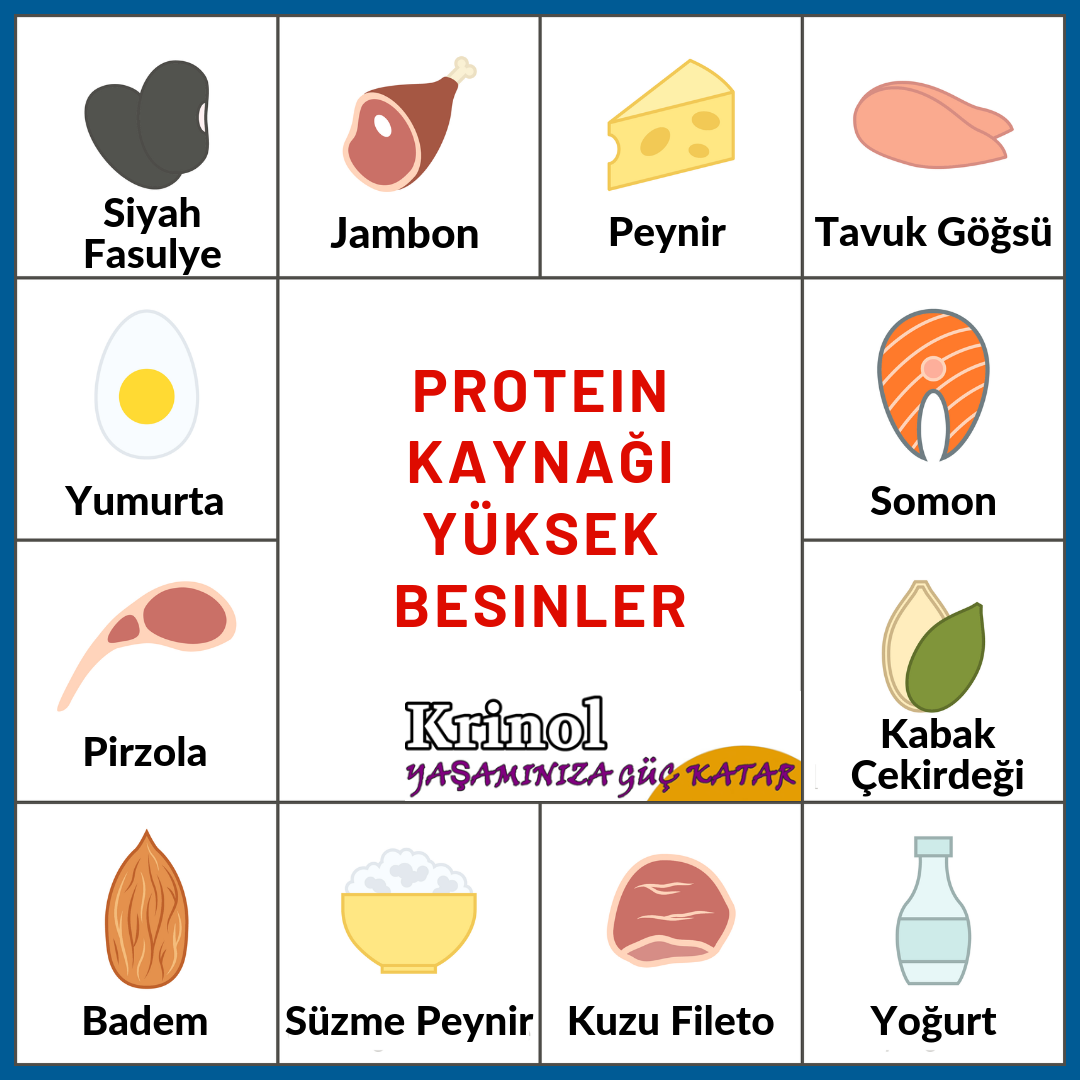 Protein Kaynağı Yüksek Besinler Nelerdir?