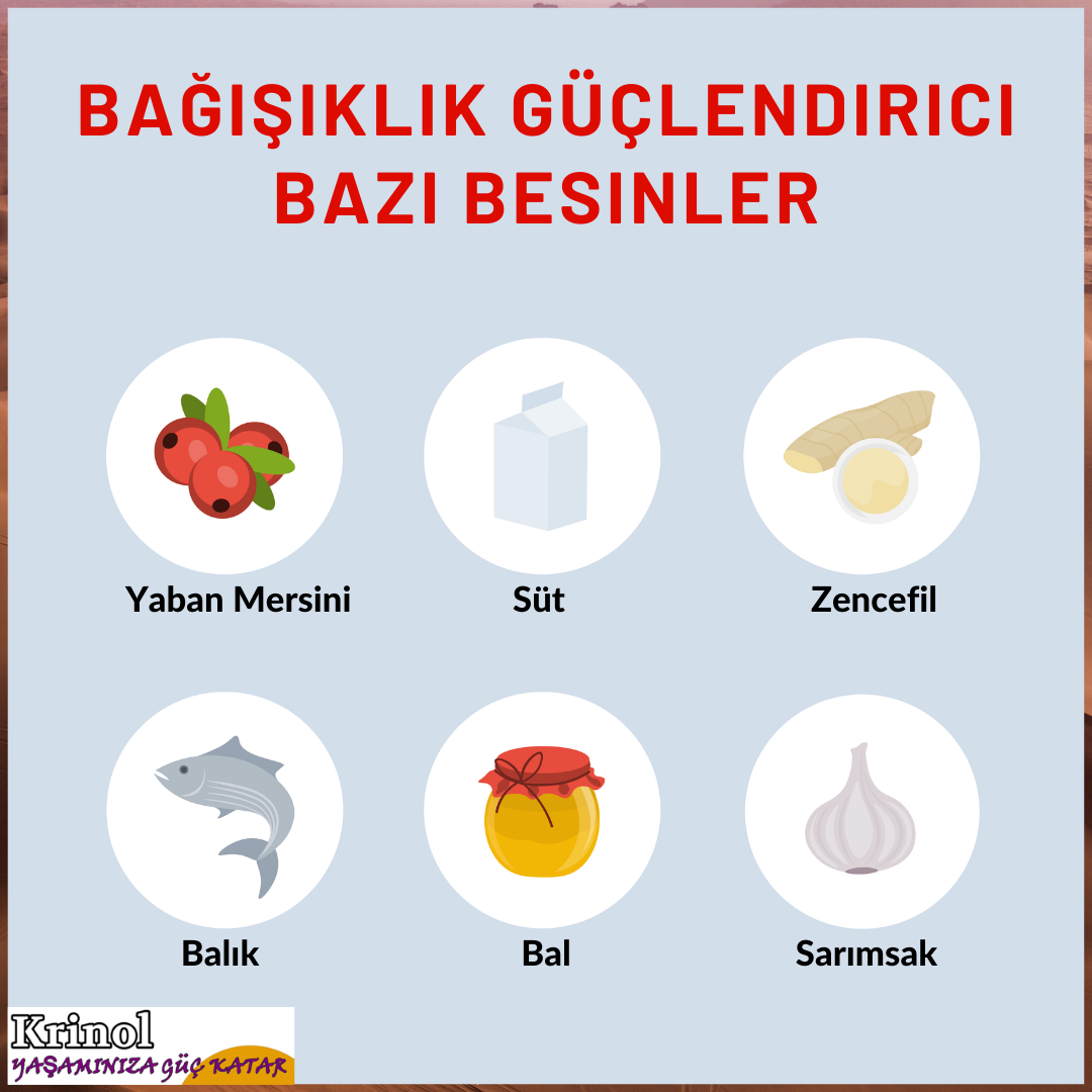 Bağışıklık Güçlendirici Bazı Besinler Nelerdir?