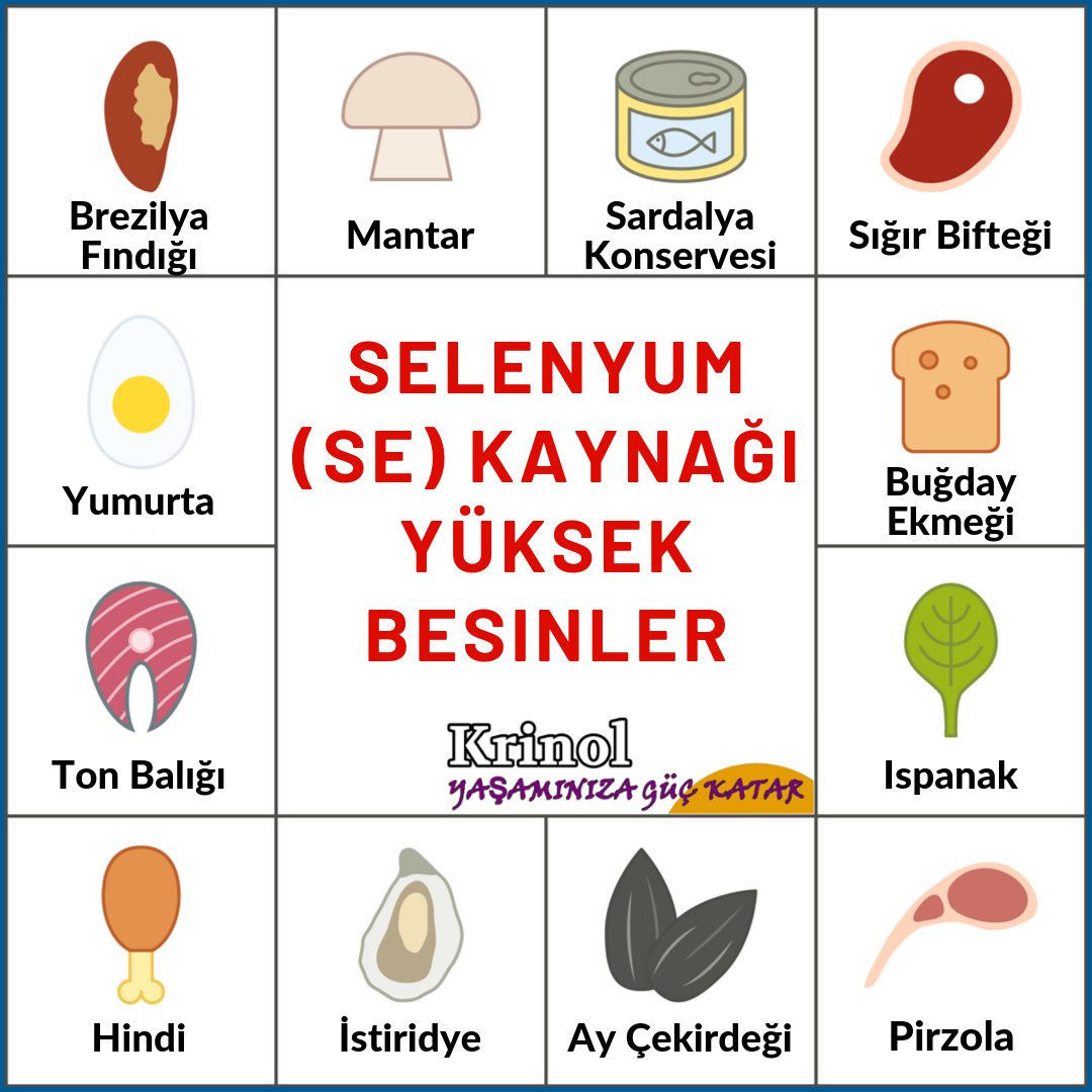 Selenyum (SE) Kaynağı Yüksek Besinler Nelerdir?