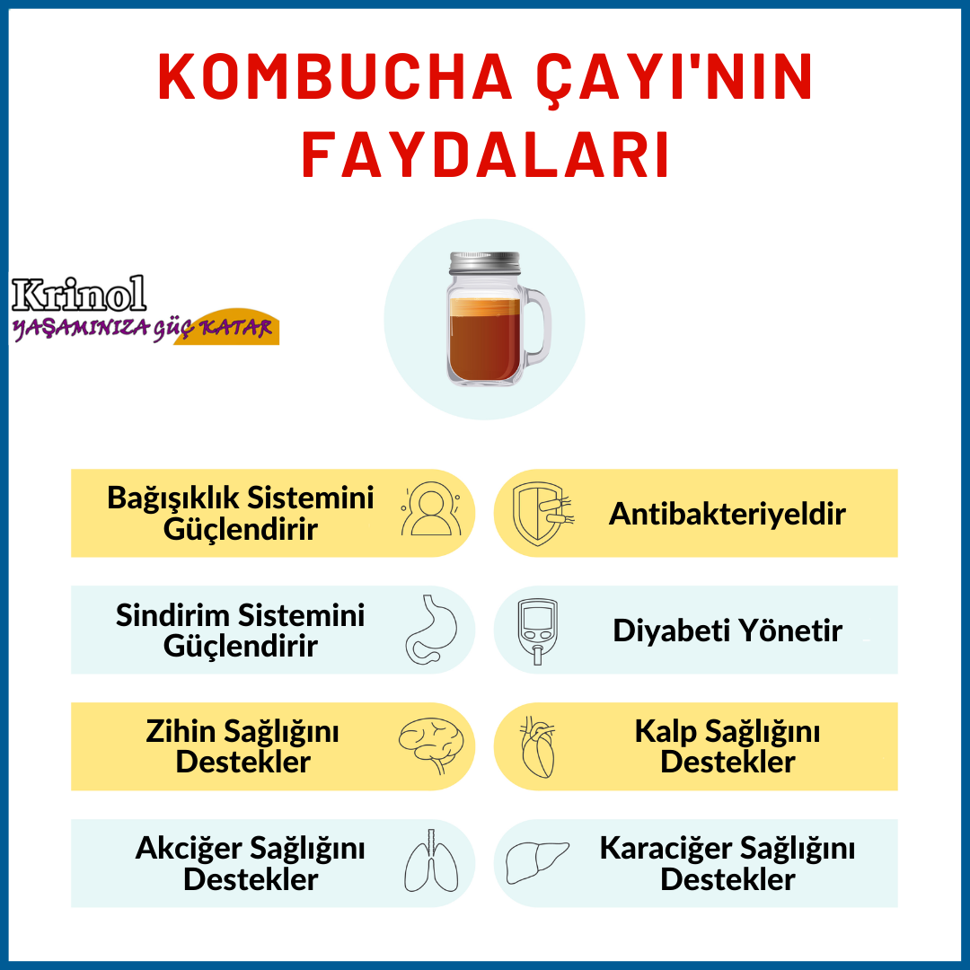 Kombucha Çayı'nın Faydaları Nelerdir?