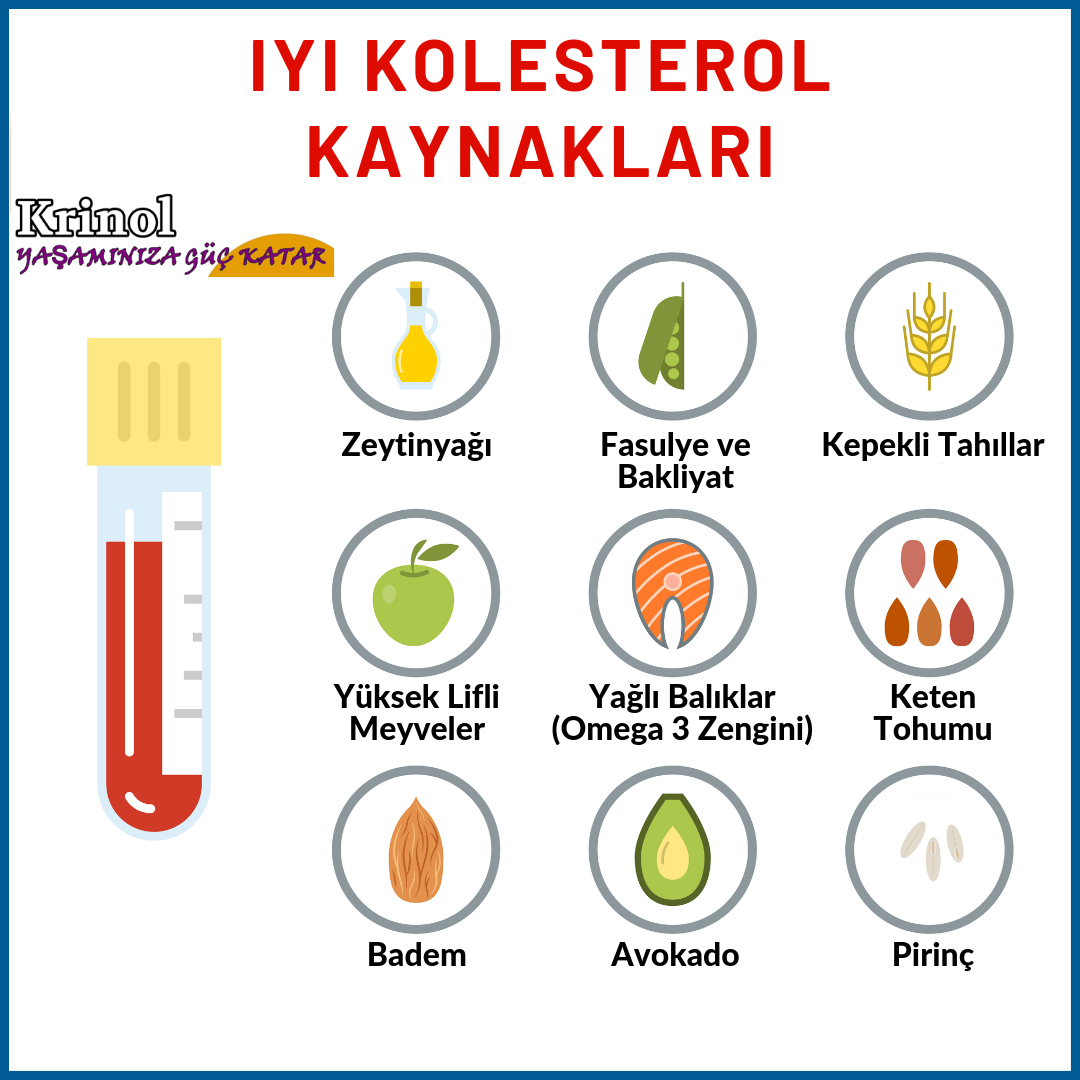 İyi Kolesterol Kaynakları Nelerdir?