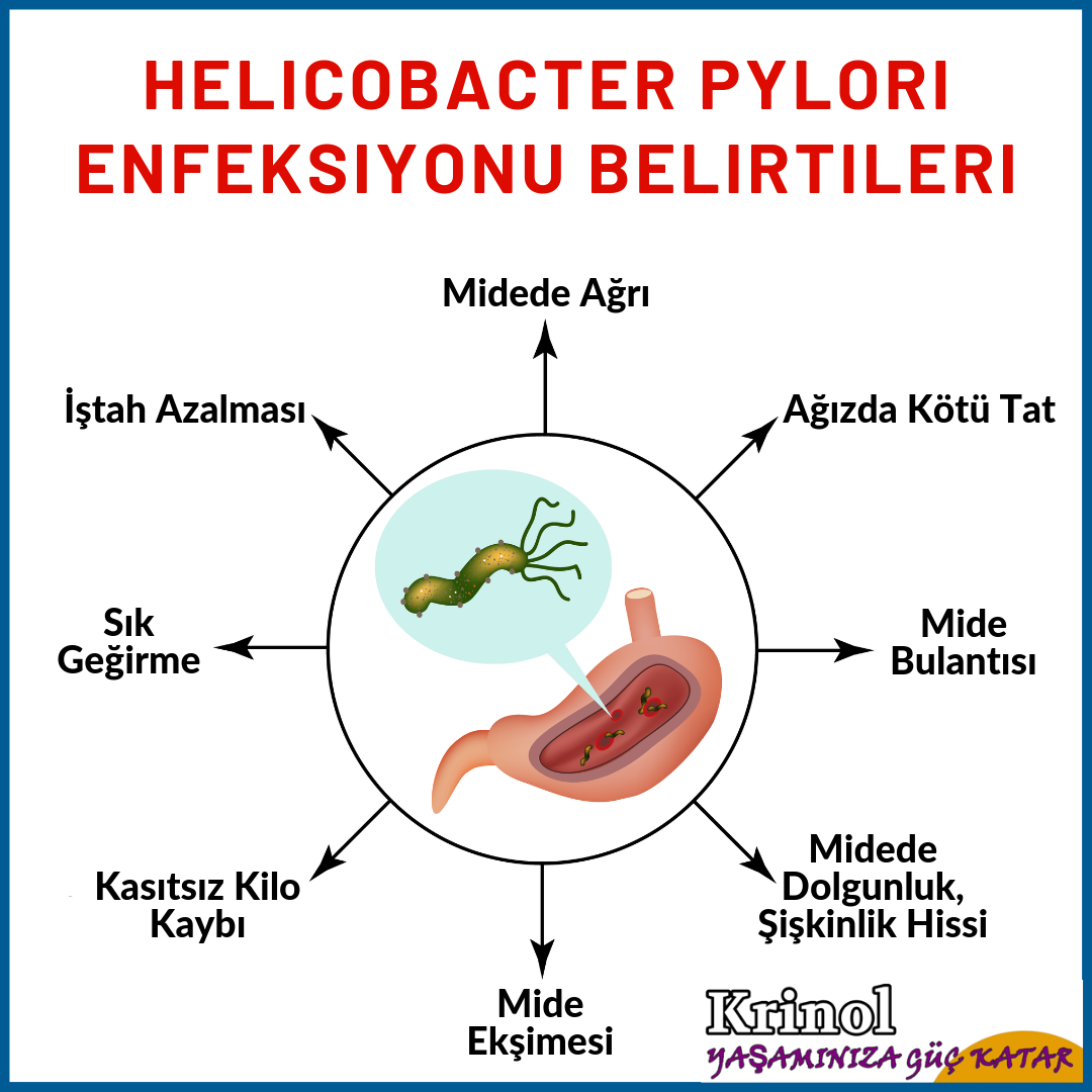 Helicobacter Pylori Enfeksiyonu Belirtileri Nelerdir?