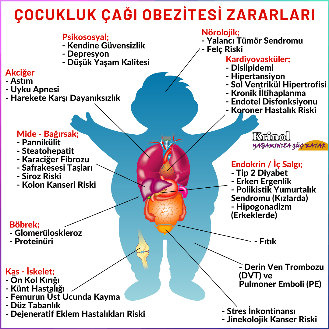 Çocukluk Çağı Obezitesi Zararları Nelerdir?