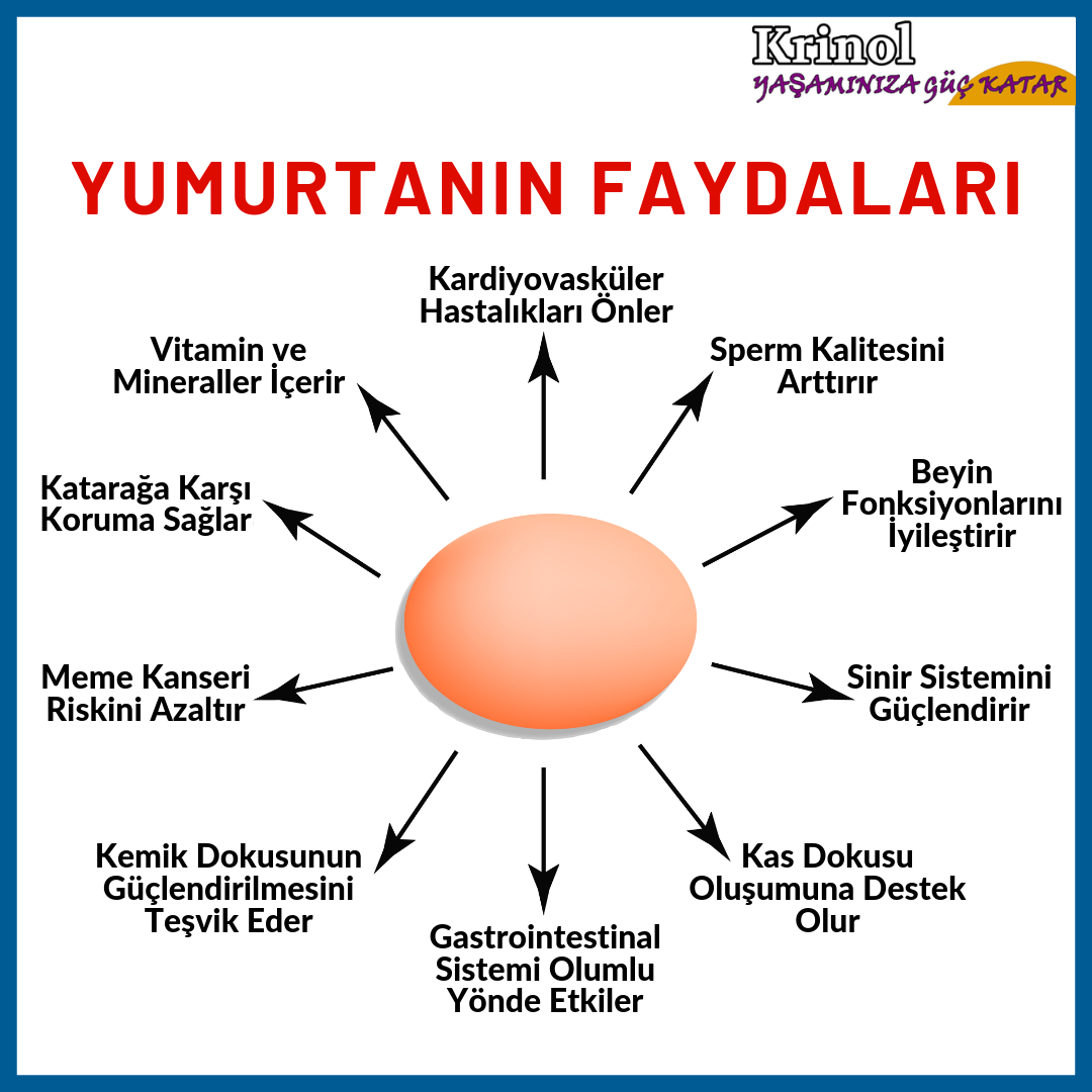 Yumurtanın Faydaları Nelerdir?