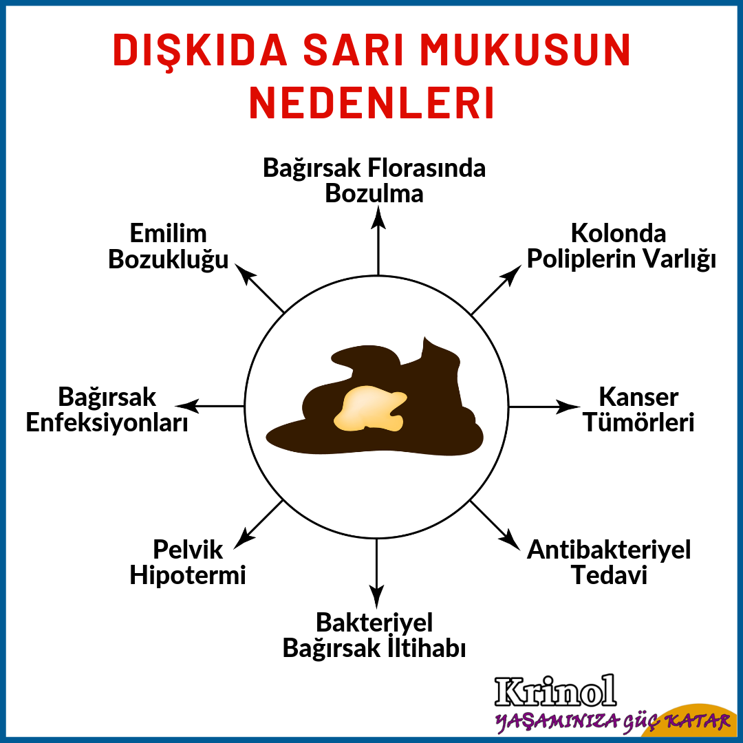 Dışkıda Sarı Mukusun Nedenleri Nelerdir?