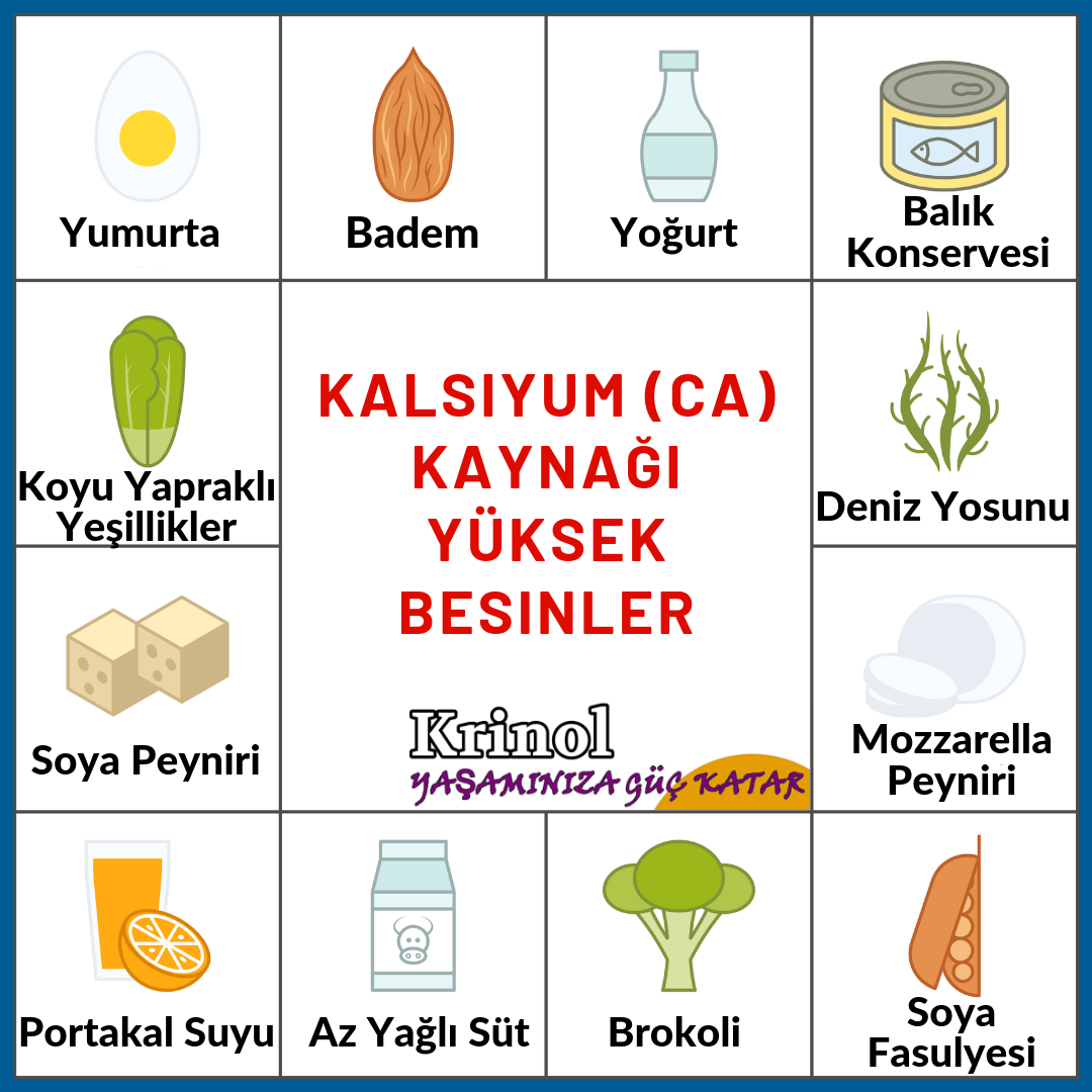 Kalsiyum (CA) Kaynağı Yüksek Besinler Nelerdir?