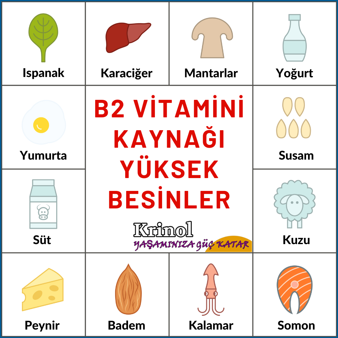 B2 Vitamini Kaynağı Yüksek Besinler Nelerdir?