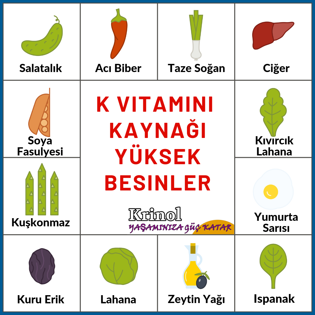 K Vitamini Kaynağı Yüksek Besinler Nelerdir?