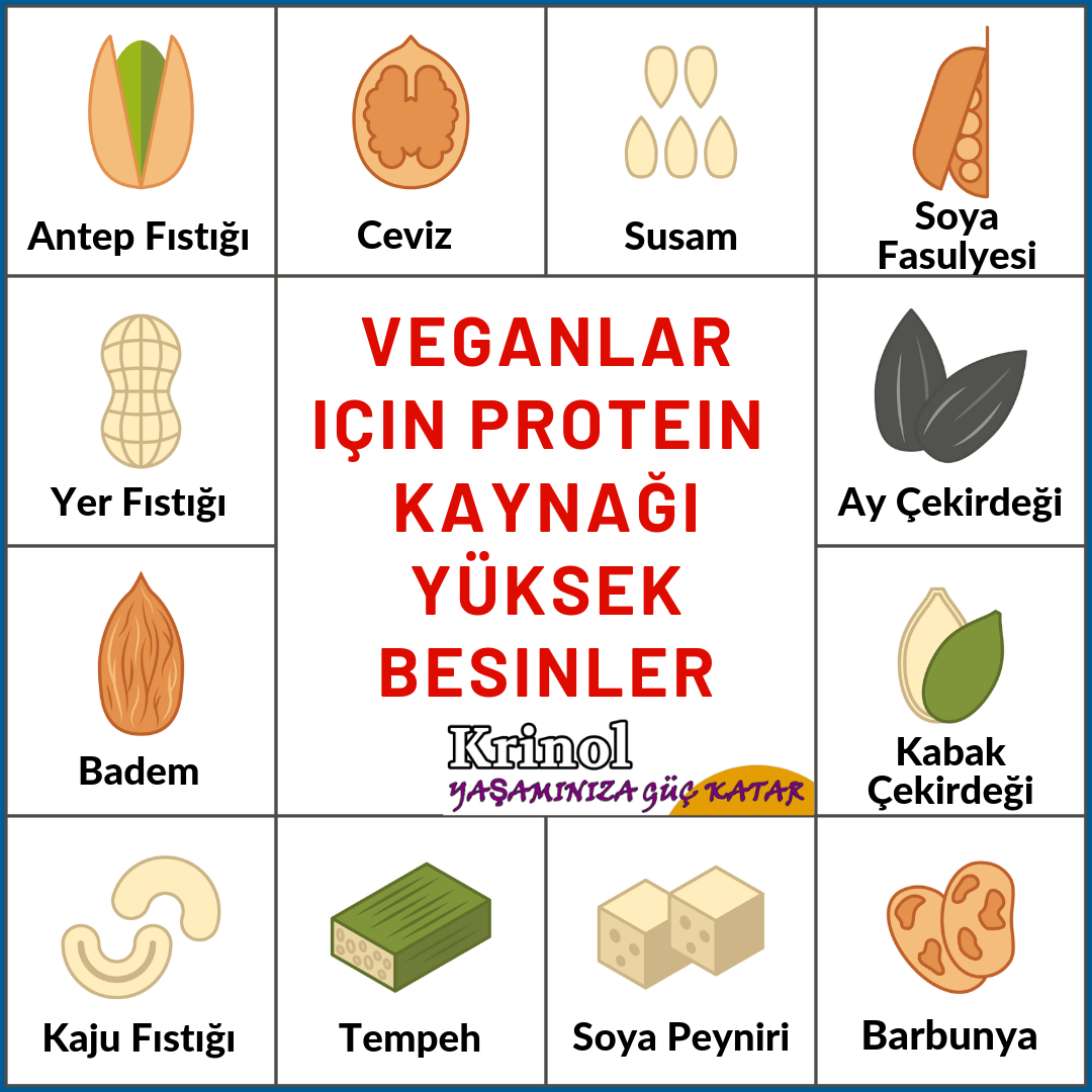Veganlar İçin Protein Kaynağı Yüksek Besinler Nelerdir?