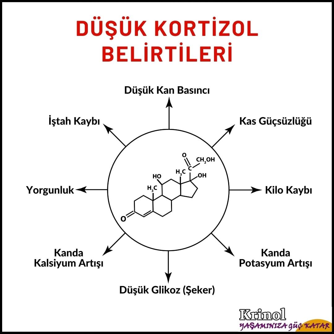 Düşük Kortizol Belirtileri Nelerdir?