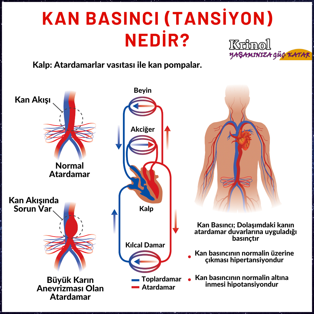 Kan Basıncı (Tansiyon) Nedir?