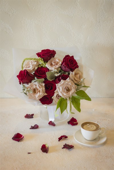 Velvet Romance