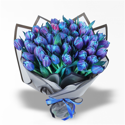 The Purple Tulip of Love Mor Laleler  