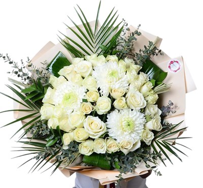 White Rose Angel, Innocent, Pure