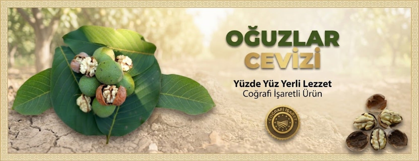 Ceviz fiyatları