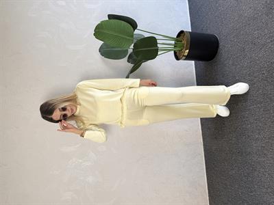 Basic Eşofman Takım Sarı - 1065