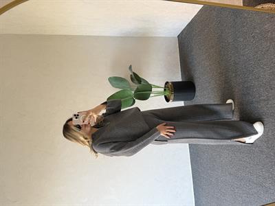 Yaka Paça Fermuar Triko Takım Antrasit - 1074