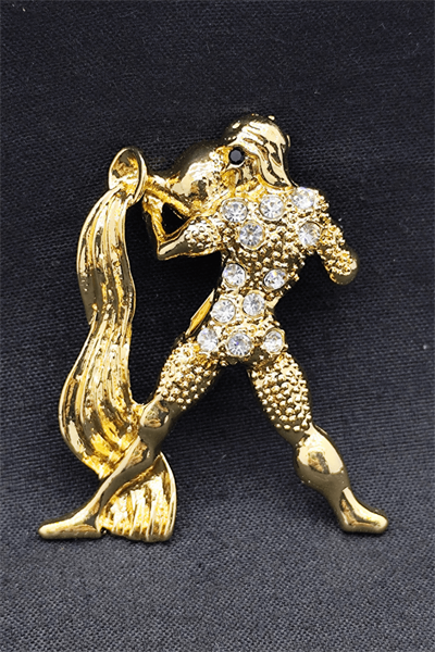 Aquarius Yenilikçi Kova Broşu